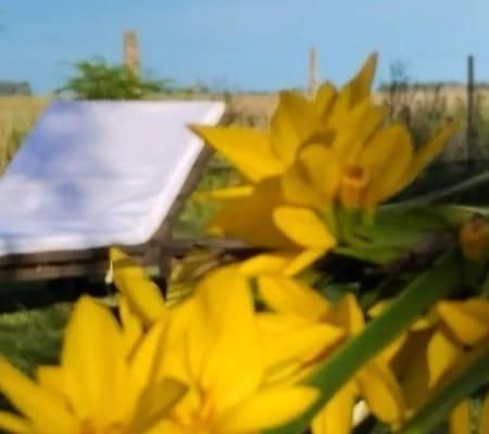 La Narcisa Villa Pehuajo Bagian luar foto