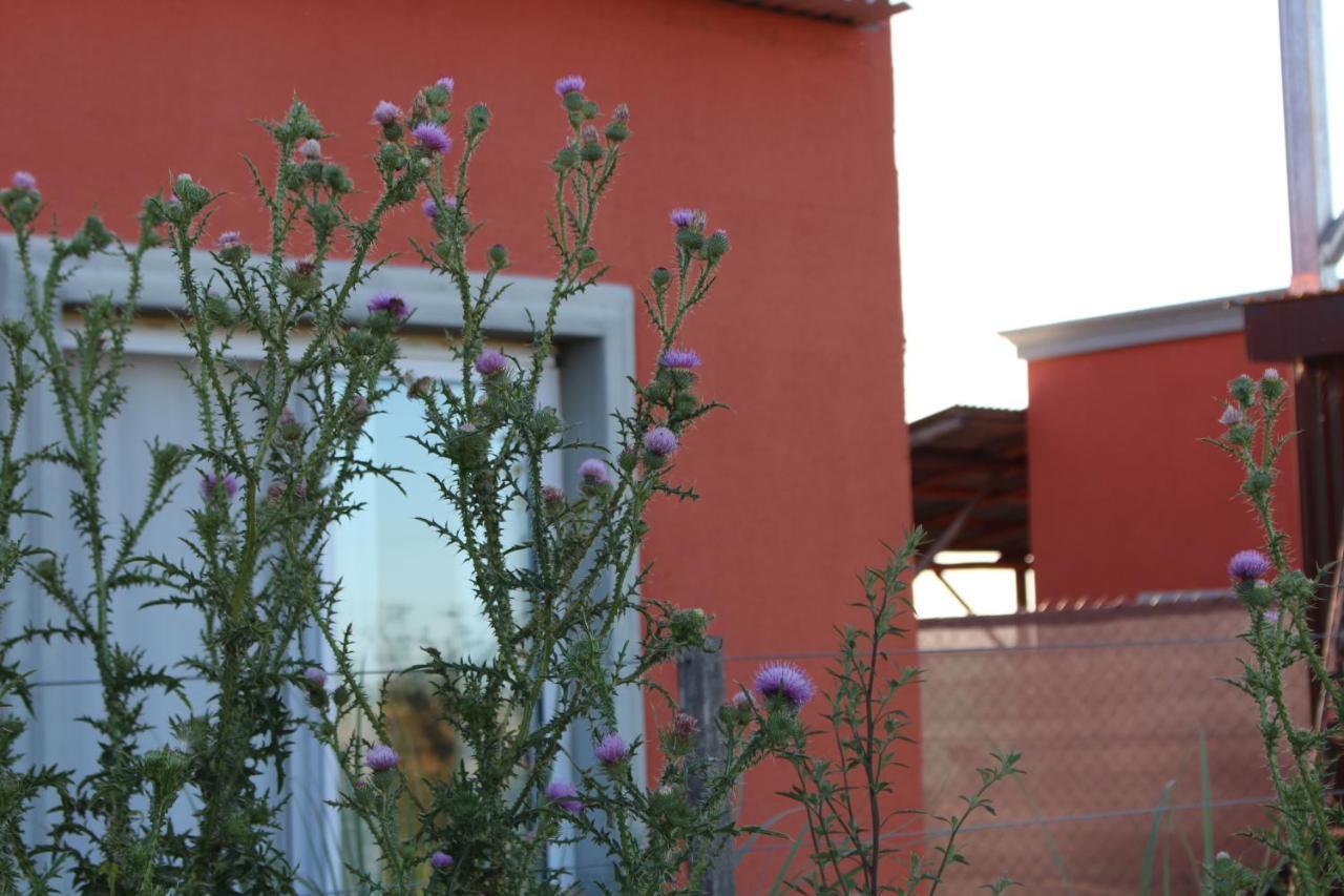 La Narcisa Villa Pehuajo Bagian luar foto