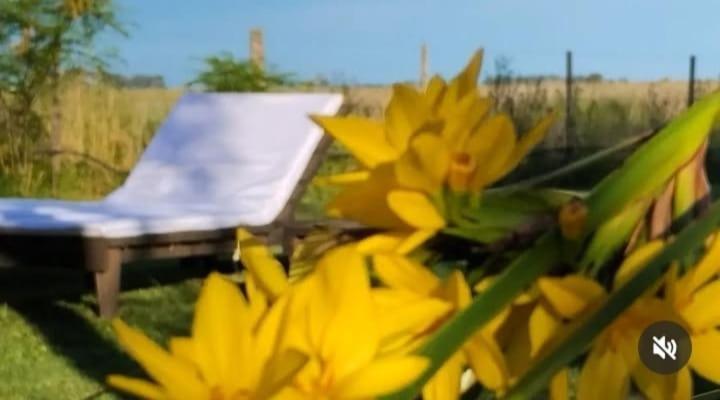 La Narcisa Villa Pehuajo Bagian luar foto