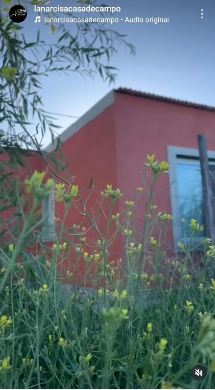 La Narcisa Villa Pehuajo Bagian luar foto