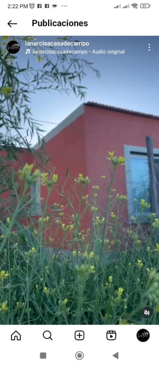La Narcisa Villa Pehuajo Bagian luar foto